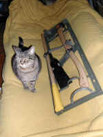 tool3.jpg (382929 bytes)