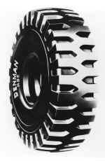 denmanndt.jpg (59408 bytes)